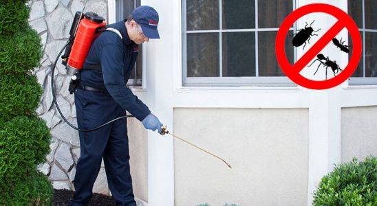 Ferizli Fare İlaçlama böcek ilaçlama ve haşere kontrolü — ilaclama-tr.com